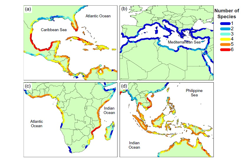 Figure 1. Four global regions and their corresponding number of sea turtle species that nest along their shores. The numbers of species in an area range from 1-6 with comparable color markers. 