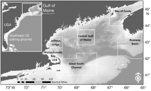 Figure 2 – Regions seasonally occupied by the North Atlantic right whale (Cole et al., 2013).