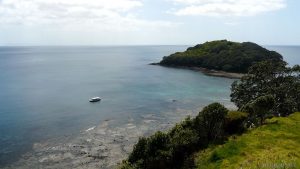Cape Rodney-Okakari Point, Goat Island Marine Reserve, New Zealand. Image Source: Wikimedia Commons