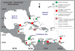 Distribution of seagrass community monitoring stations in the Caribbean, indicating communities potentially altered by environmental degradation (van Tussenbroek et al., 2014)