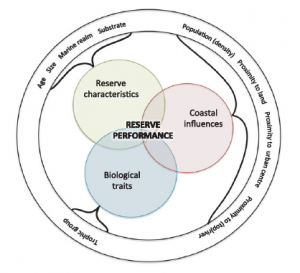 Diagram representing the 3 major categories of determinants expected to influence the performance of marine reserves.