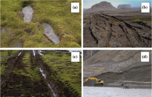 Antarctic vegetation and the damage caused to it by human activity. A) Moss and footprints b) Tire tracks through vegetation c) Vehicle tracks in moss d) Quarrying (Hughes et al., 2015)