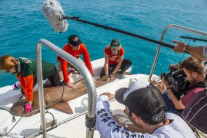 SRC interns Rachel Skubel and Shannon Moorhead secure a female nurse shark while SRC director, Dr. Neil Hammerschlag, discusses the shark for the National Geographic film crew.