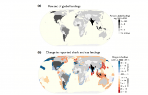 Figure 2. Global distribution of (a) country-specific shark and ray landings averaged between 2003 and 2011 and mapped as a percent of the total. (b) the difference between the averages of landings reported in 2001-2003 and 2009-2011