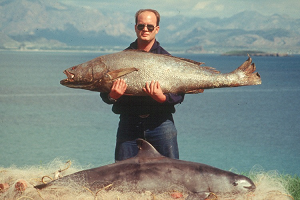 Biologist holding a Totoaba with a Vaquita at his feet. 