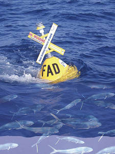 A fish-aggregating device (FAD) with mahi mahi schooling underneath. https://www.flickr.com/photos/landlearnnsw/3017619031