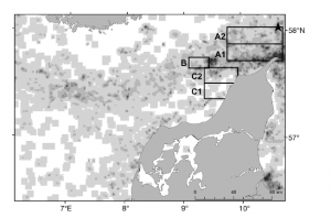 Density of harbour porpoises, estimated from satellite tagging data using a grid system.