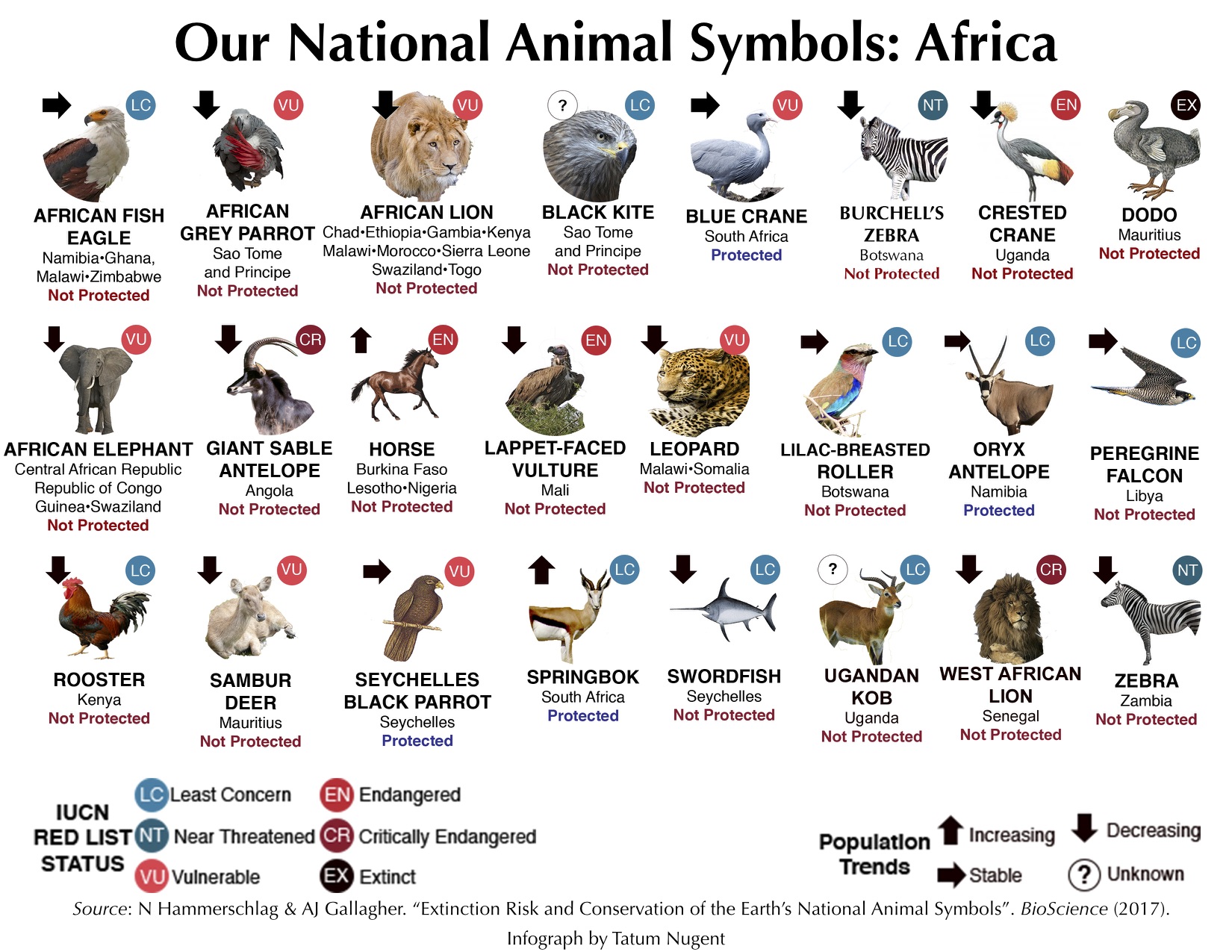National Animal Symbols: Africa – Shark Research & Conservation Program  (SRC) | University of Miami