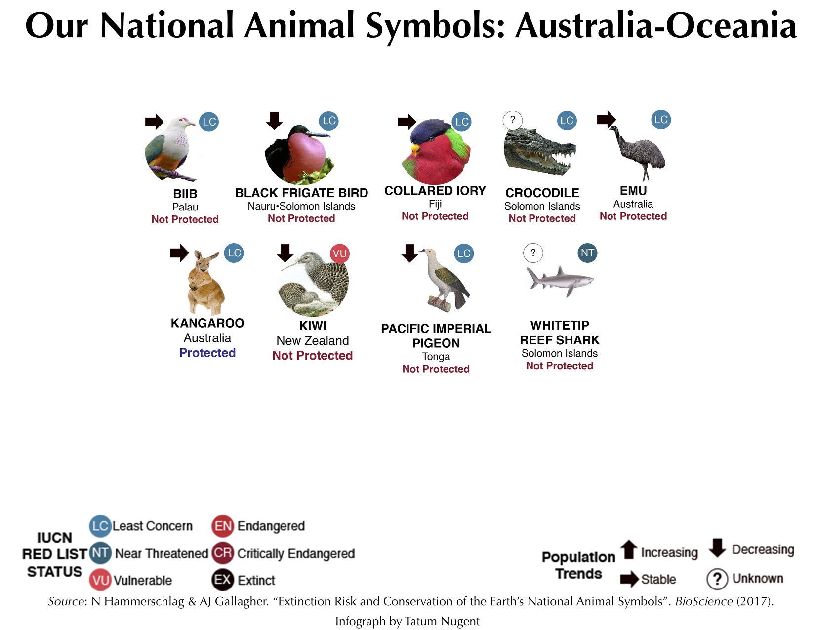 National Animal Symbols: Australia-Oceania – Shark Research & Conservation  Program (SRC) | University of Miami