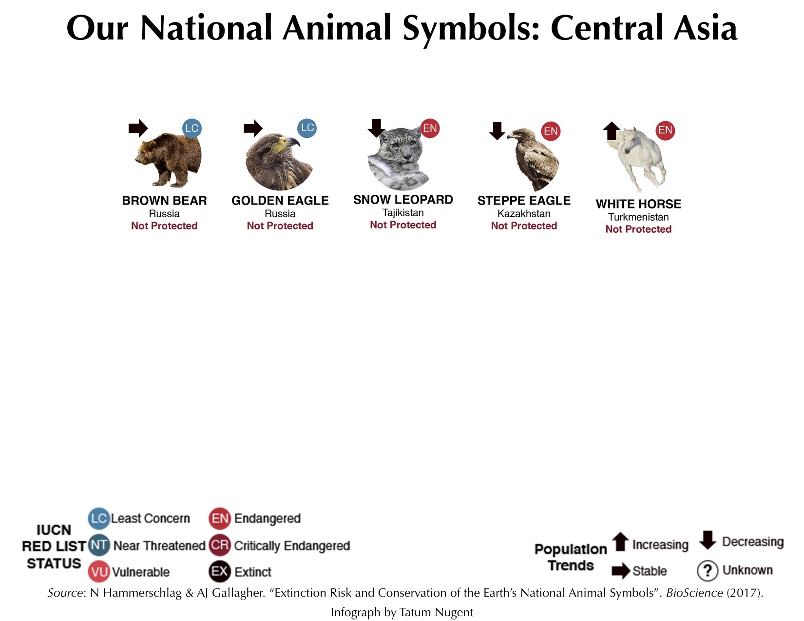 National Animal Symbols: Central Asia – Shark Research & Conservation  Program (SRC) | University of Miami