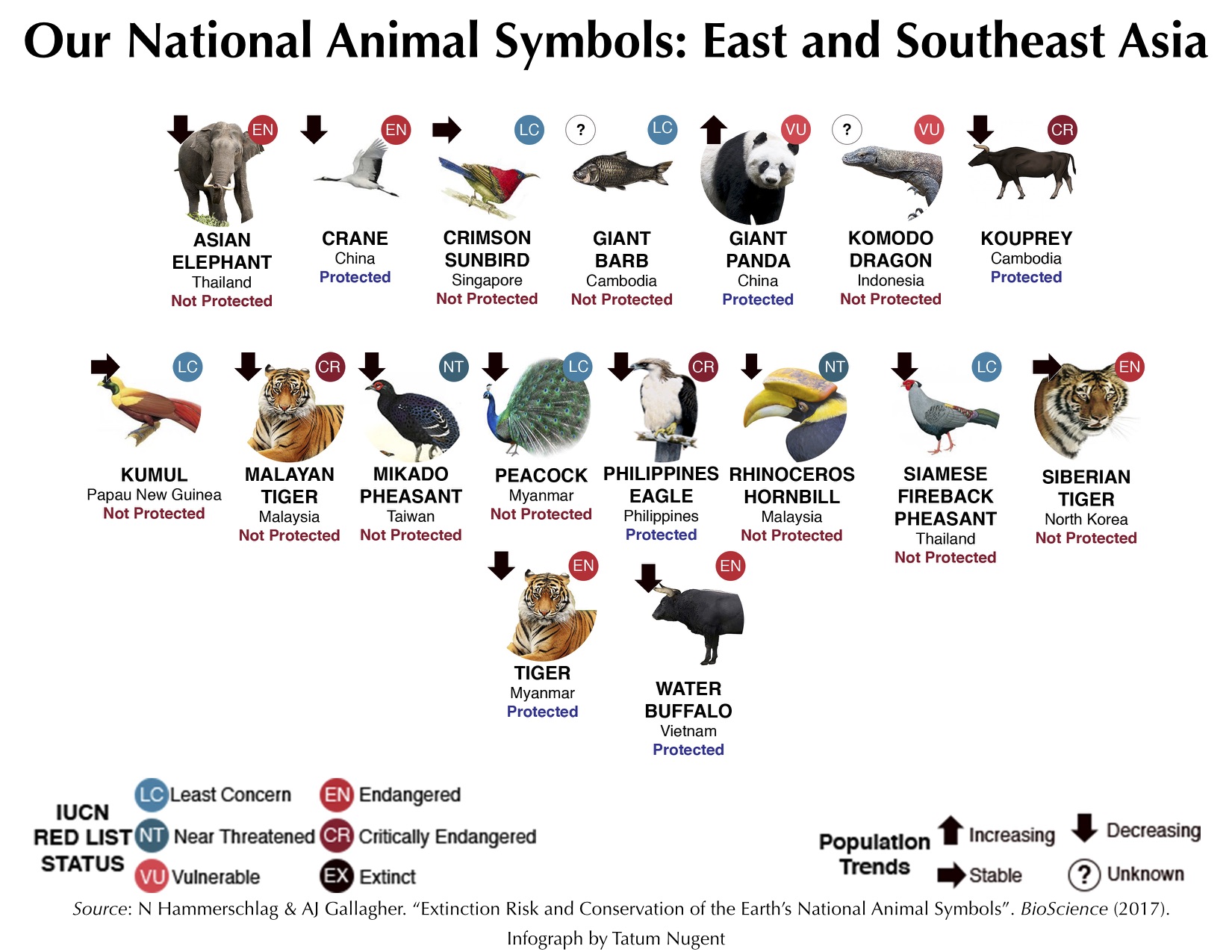 National Animal Symbols: East and Southeast Asia – Shark Research &  Conservation Program (SRC) | University of Miami