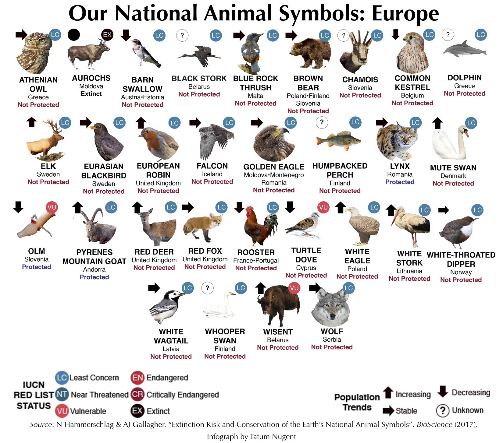 National Animal Symbols: Europe – Shark Research & Conservation Program  (SRC) | University of Miami