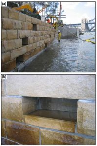 (a) Intertidal 'rock-pools' constructed in the vertical dace of a seawall in Sydney Harbor (Australia). These features of habitat were introduced to seawalls to mitigate efforts of loss or degradation of rocky platforms on intertidal biodiversity. (b) Details of a rock-pool retaining water during low tide. (Bulleri & Chapman, 2010)