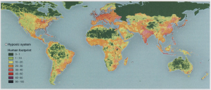 The locations of hypoxic systems match the global human footprint, which is expressed as a normalized percentage, particularly for the Northern Hemisphere where more information is available (Diaz et al. 2008). 