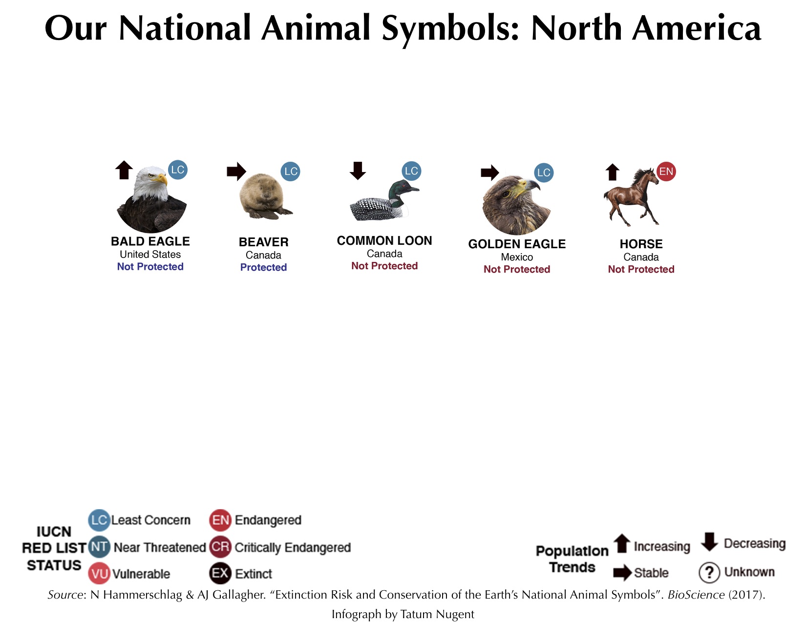 National Animal Symbols: North America – Shark Research & Conservation  Program (SRC) | University of Miami