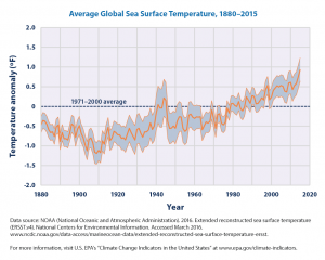 Temperature anomaly of average global sea surface temperature from 1880-2015.  This increased warming trend is predicted to continue and proceed to facilitate the lionfish invasion into regions further north and south of the equator. Figure source: United States Environmental Protection Agency (https://www.epa.gov/climate-indicators/climate-change-indicators-sea-surface-temperature) 