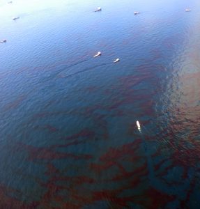 An oil slick untreated by dispersants being cleaned up by skimmer boats. The oil appears very dark and dense from the surface. (Source: Wikimedia Commons)