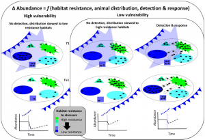 Figure 2: Snook Habitat Resistance, Animal Distribution, Detection and Response