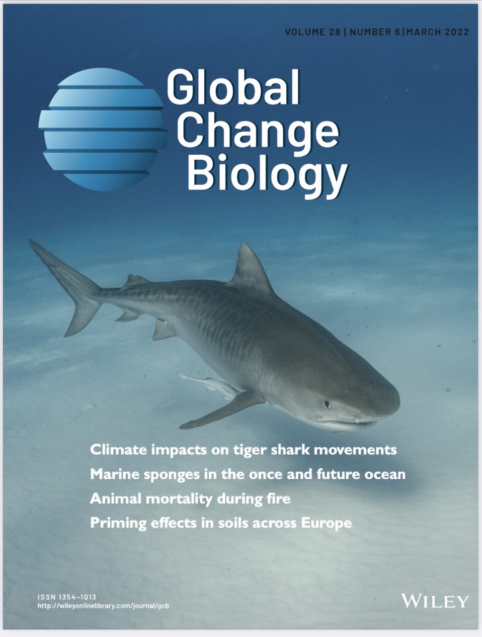 research paper on tiger sharks